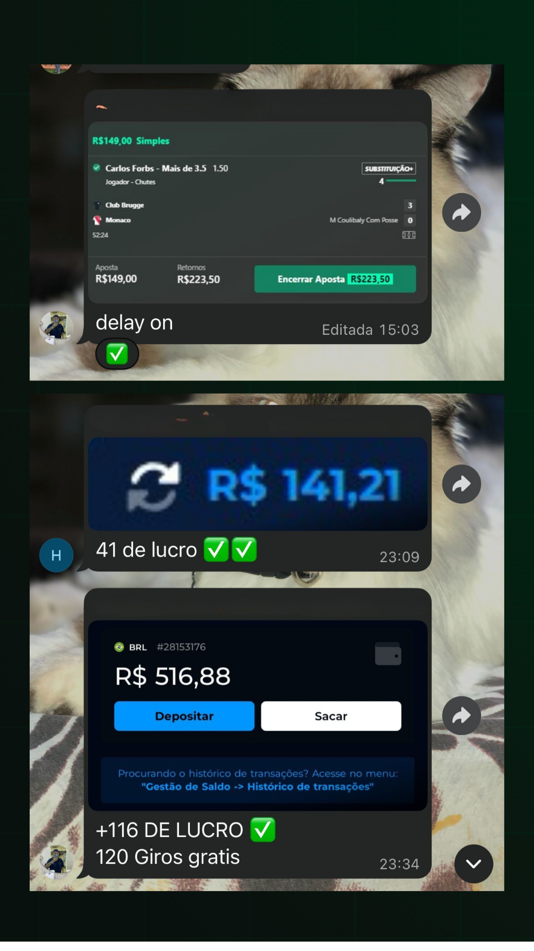 Resultado 2 e 3